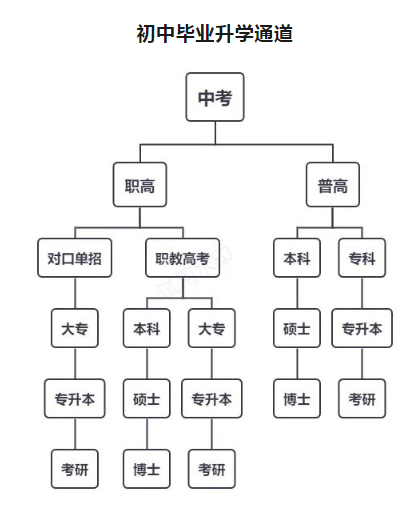 林州市开元领航职业学校升学体系是什么？